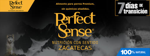 Perfect Sense Zacatecas