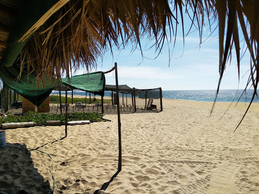 Reserva de Tortugas - Thumbnail