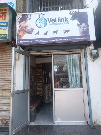 Vetlink pathology lab