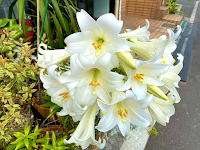 パンの店フランセ