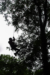 Photo n°26 de Angiens Accrobranche Aventures à Angiens (Village de vacances)