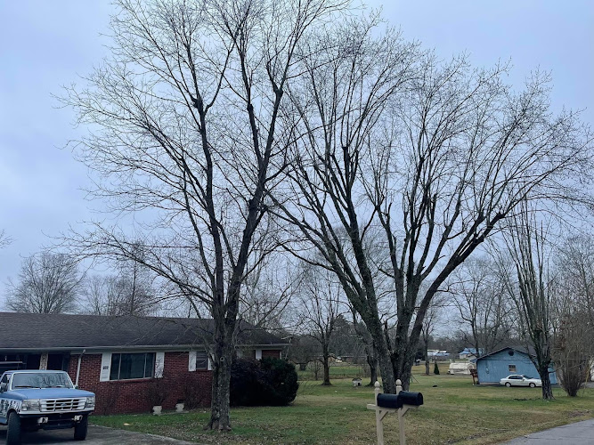 Tim’s Tree Solutions, LLC