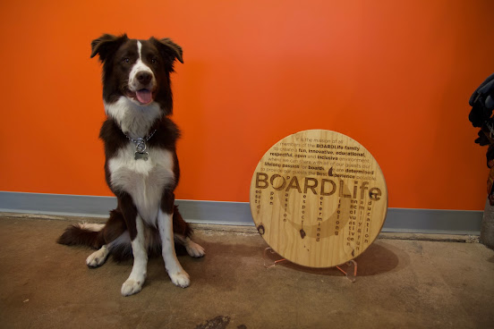 BOARDLife skate shop by null