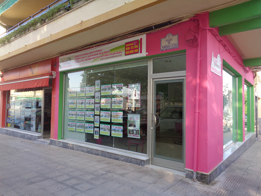 ACYR Inmobiliaria