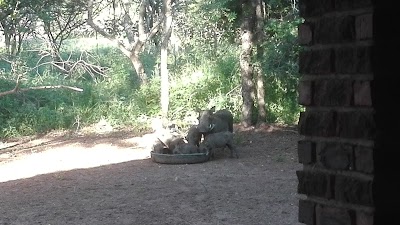 Photos of Cooksies Bushpad Self Catering Accommodation