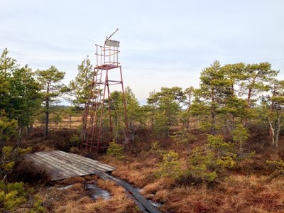 Photos of Tammsaare - Kodru raba - J&auml;rva-Madise matkarada