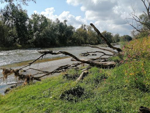 Sieben Rippen - Visual