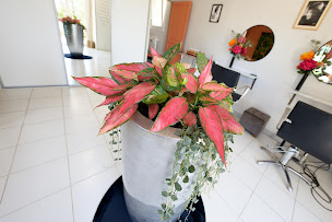 Photo n°12 de Coiffeur Evreux Guichainville O'Manoir à Guichainville (Salon de coiffure)