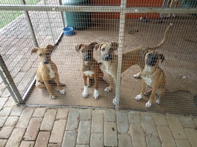 Photos of Wetnose Animal Rescue Centre