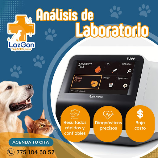 Veterinaria LazGon Actopan