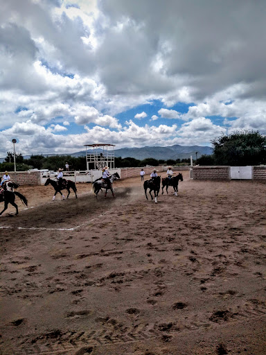 RANCHO MI QUERIDO VIEJO - Thumbnail
