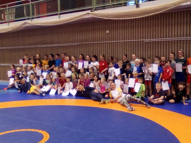 Actic Skövde Arena