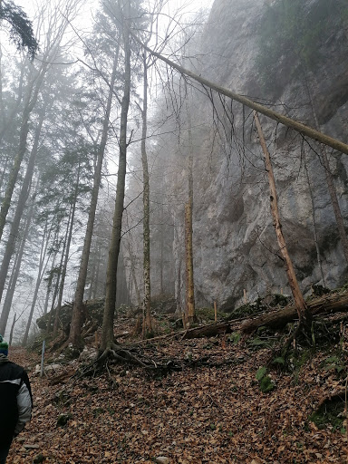 E4 Weg zur Talstation Aschau - Thumbnail
