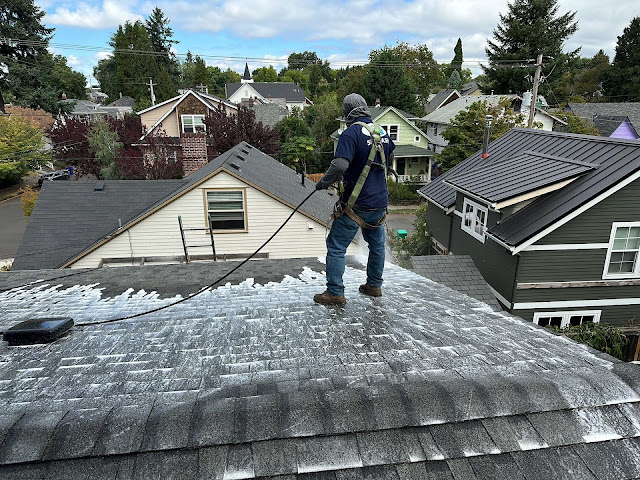 All Surface Cleaning - Portland Roof & Gutter Cleaning Company