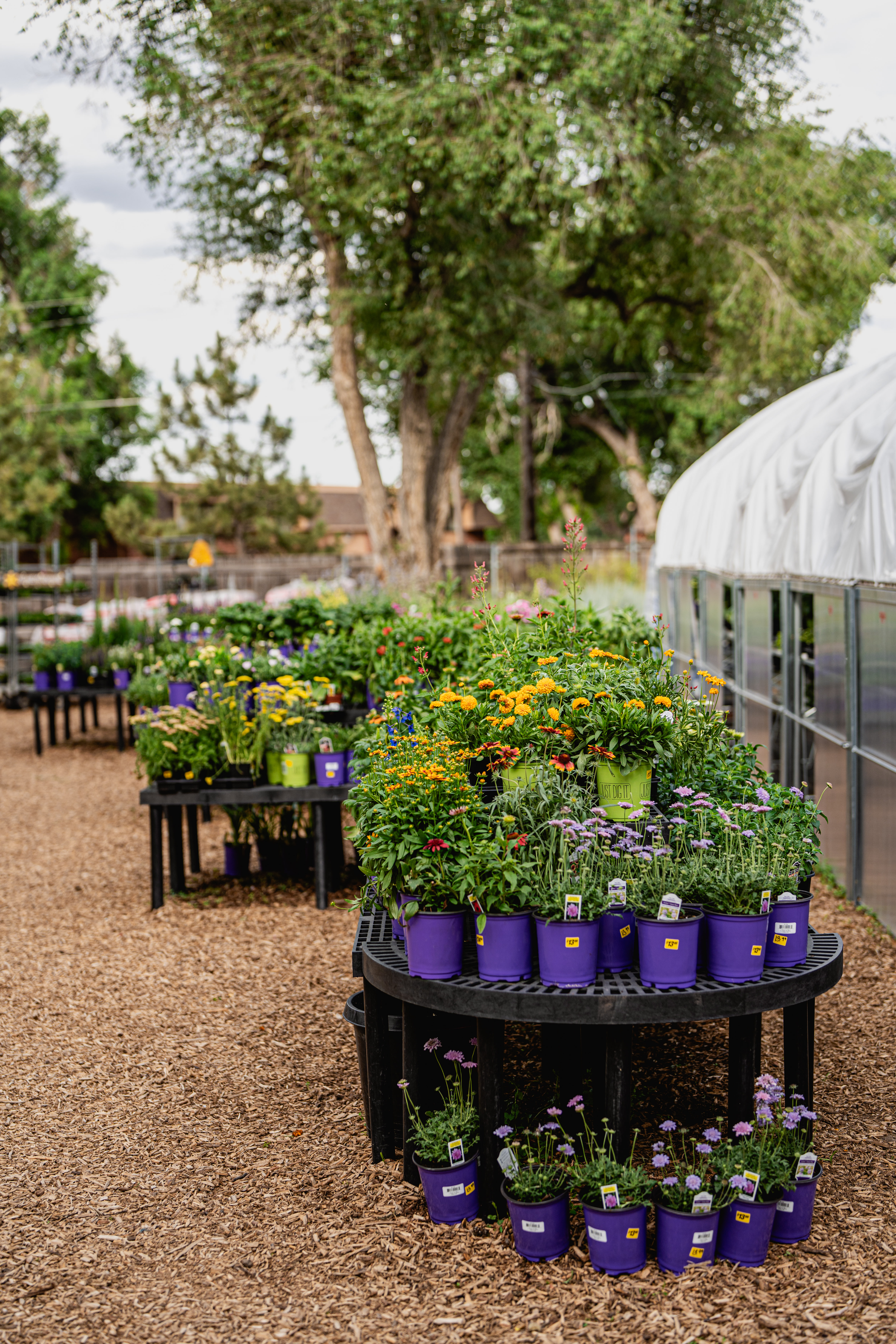 Hillside Garden Center