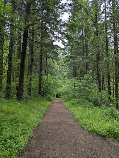 Cooper Mountain Nature Park - Thumbnail