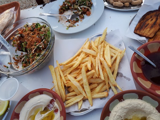 Safa Kassab