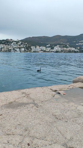 Λιμάνι Μεσογαίας- Πόρτο Ράφτη. Ανοιχτές ώρες