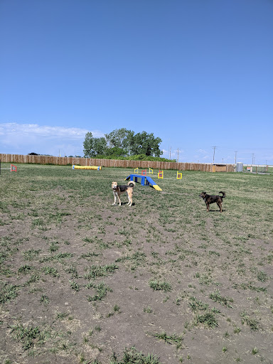 MyWalkies - Visual
