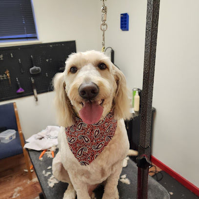 Fancy Me All Breed Dog Grooming