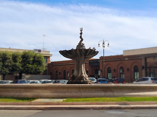 Fontana della Stazione Gallery - Italy