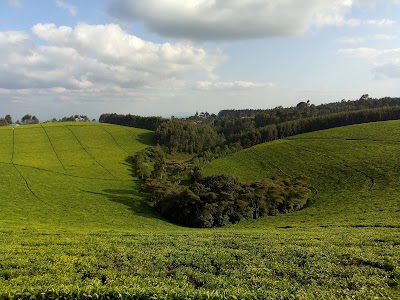 Photos of Safaricom Limited