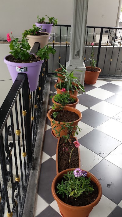 Photos of Mansuri Home
