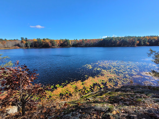 Heald Pond Parking Area