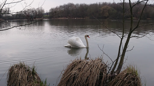 Campingplatz Seeweiher - Thumbnail