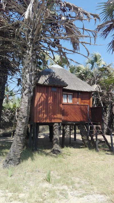 Photos of Paridiseos Resort Dande