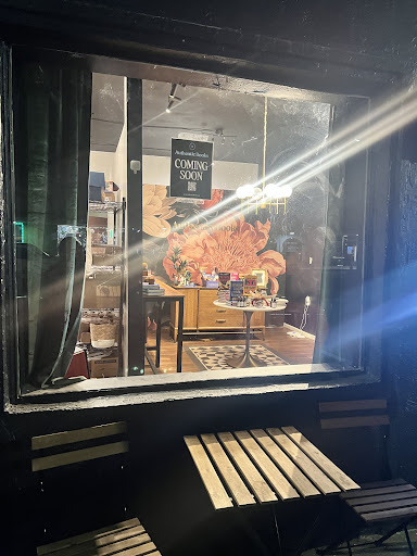 Authentic Books - Visual