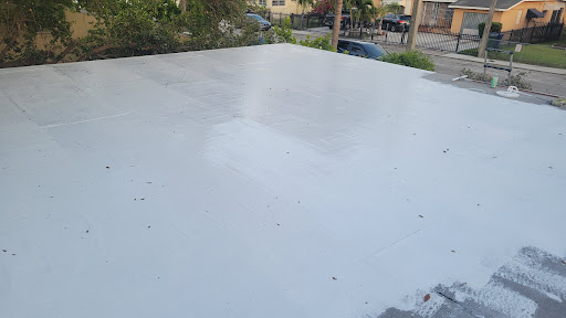 The Flat Roof Specialist