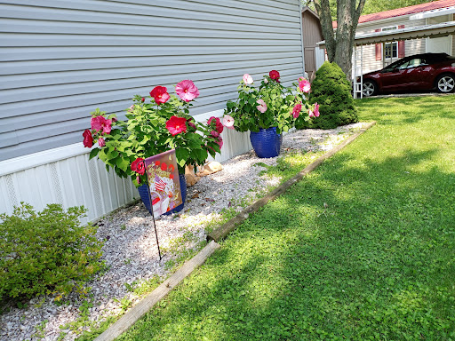 Rolling Wheels Estates - Visual