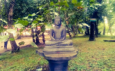 Photos of Siri Maha Bodhiya - Padidora