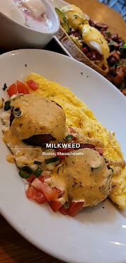Milkweed by null