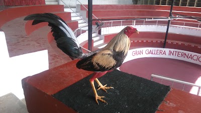Photos of Grand Hotel Hernancor