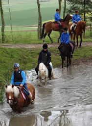 Photo n°10 de Gite Marais Poitevin - Le Maraichin - 8 pers - 4 chambres à Sansais (Gîte)