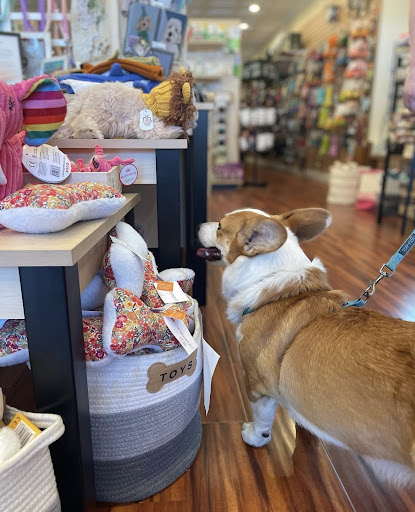 Waggin Tails Pet Supplies - Thumbnail