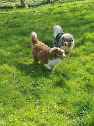 Photo n°3 de Boudlal Rachid à Oissy (Atelier de réparation automobile)