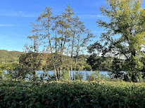 Le Paradis du Rhône à Condrieu