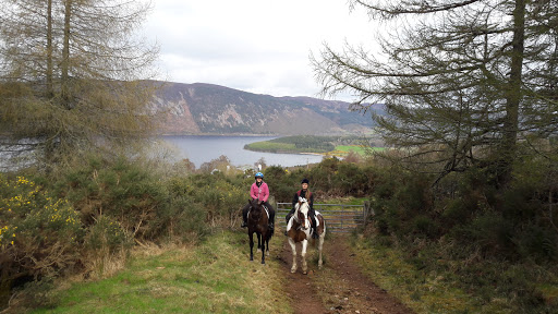 Loch Ness Riding - Experienced riders only! Logo