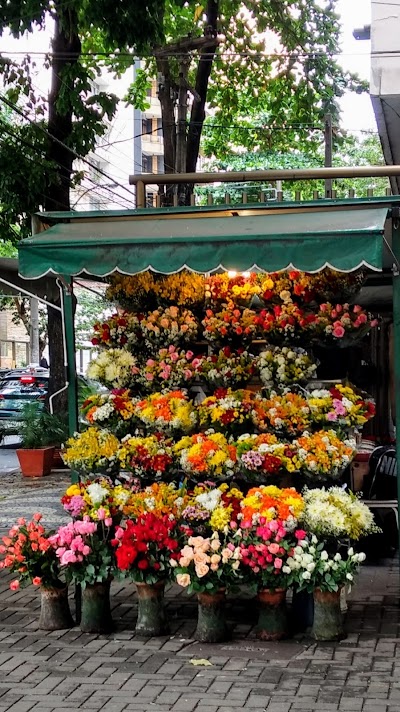 Photos of Banca De Flores