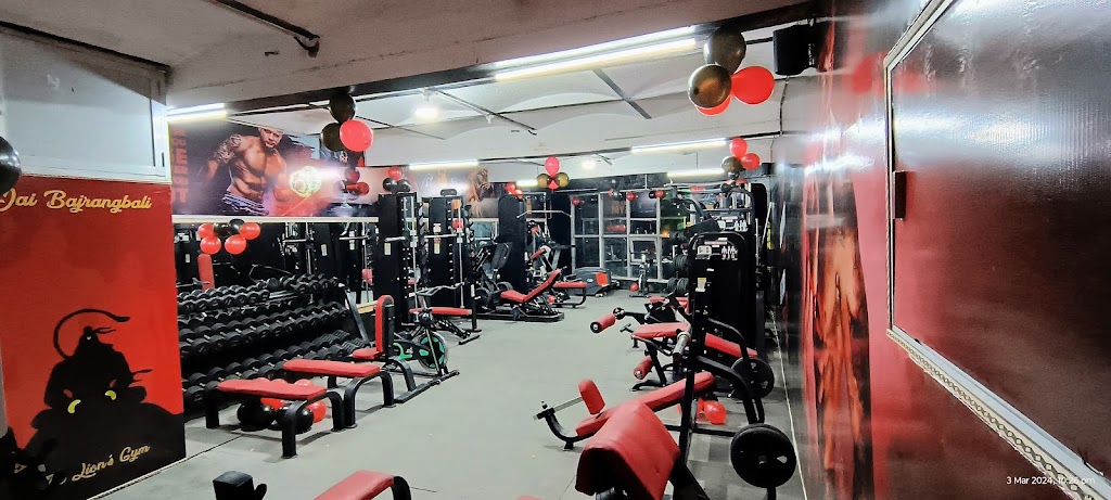 The Lion S Gym