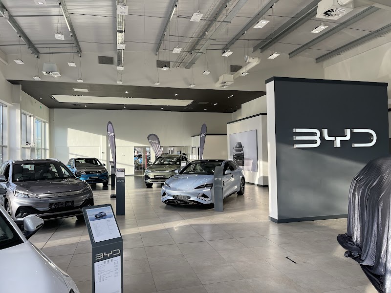 BYD Chester photo 2