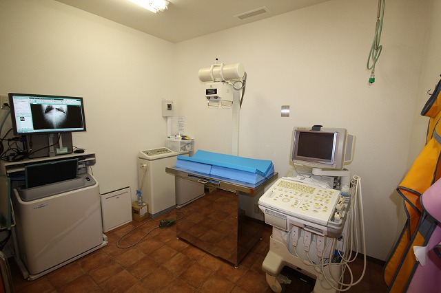 エール動物病院