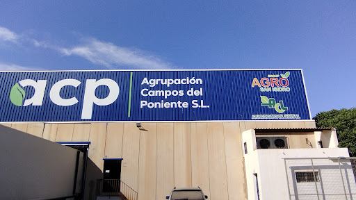 Agrupacion Campos del Levante