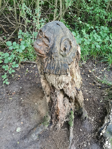 Wood Monkey - Visual