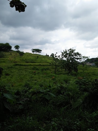 Photos of Pemakaman JATISARI Kedungmundu