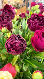 Photo n°64 de Les fleurs, c'est lui à Paris (Prestataire de mariage)