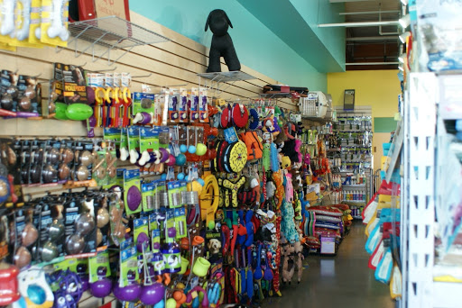 BlackPaw Gallery - United States